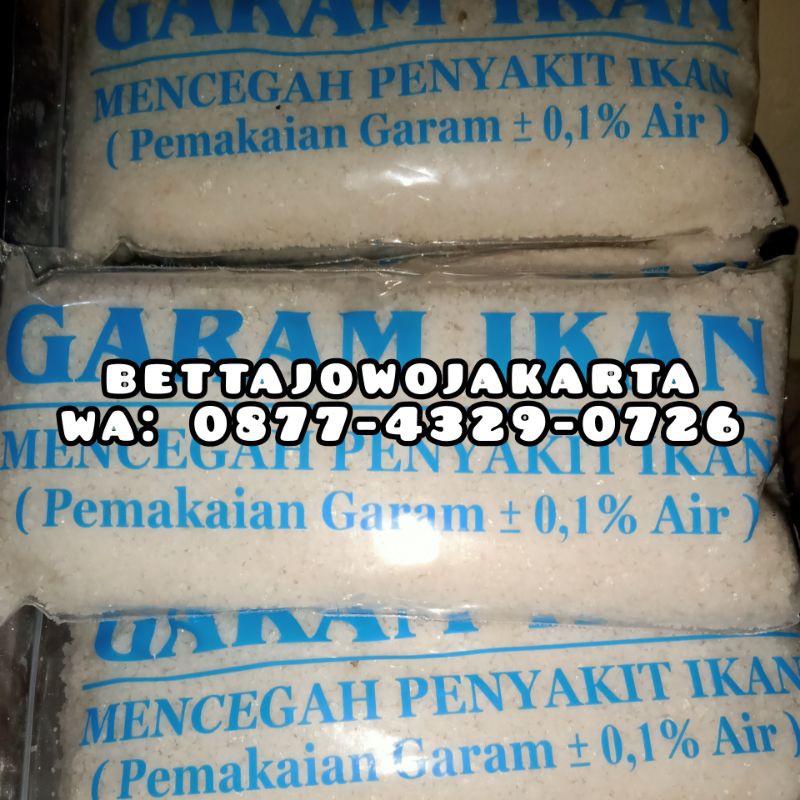 Garam / Garem Ikan Hias