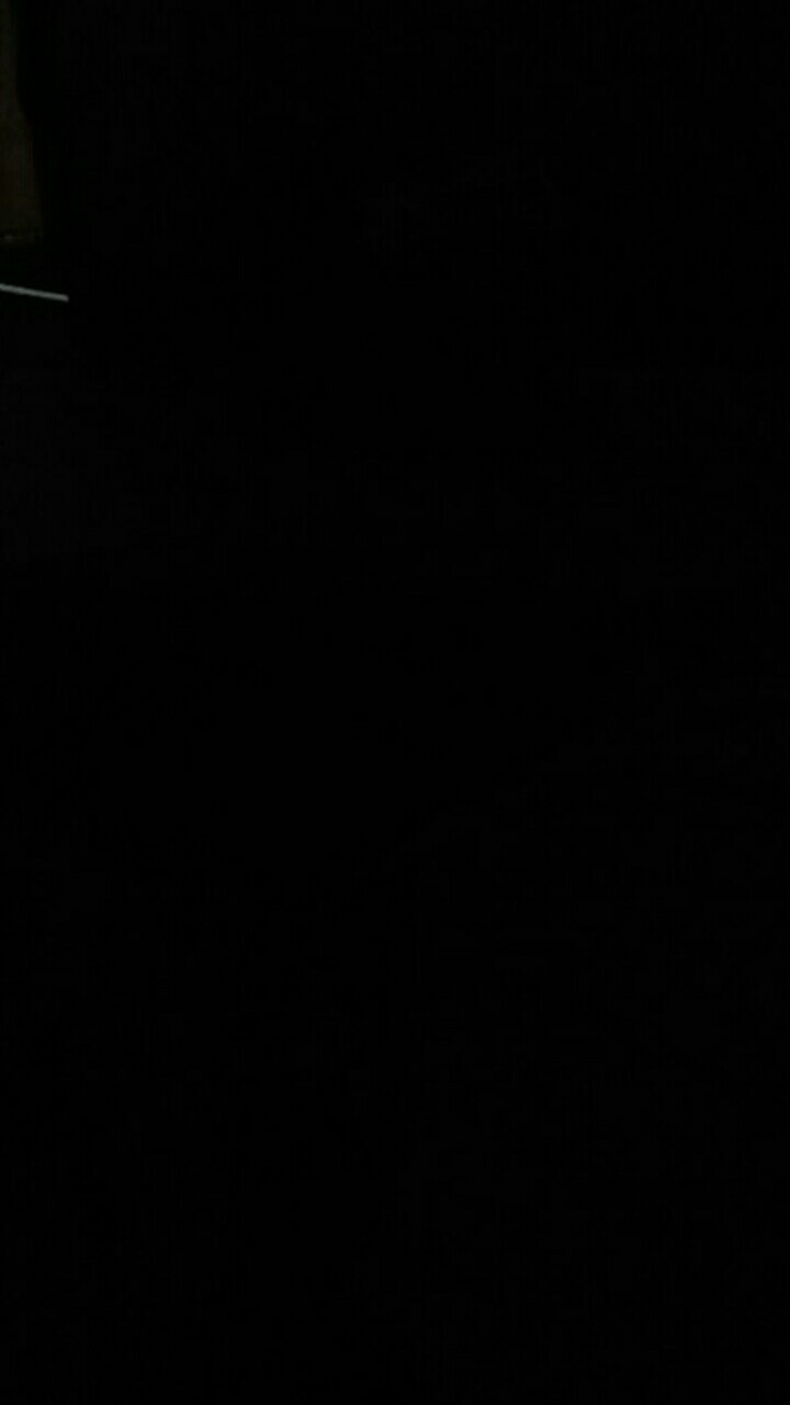 Daun Palm Kering Ukuran 30cm | Dried Palm Leaves | Dried Flowers