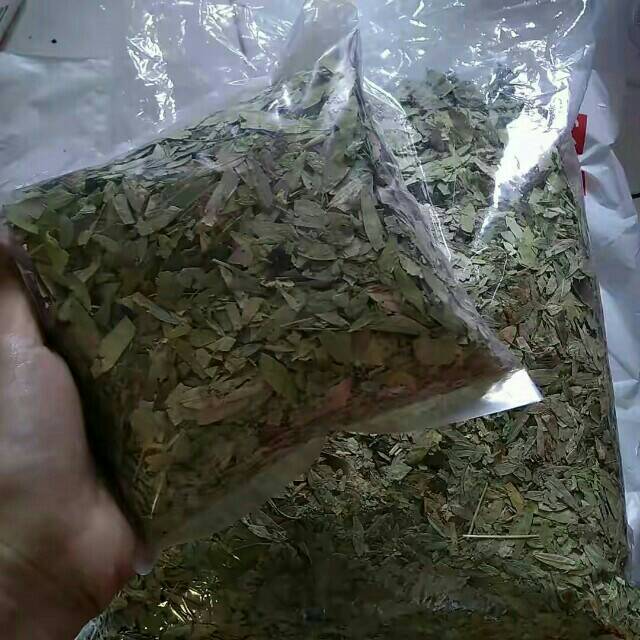 

Daun teh jati cina 500gr