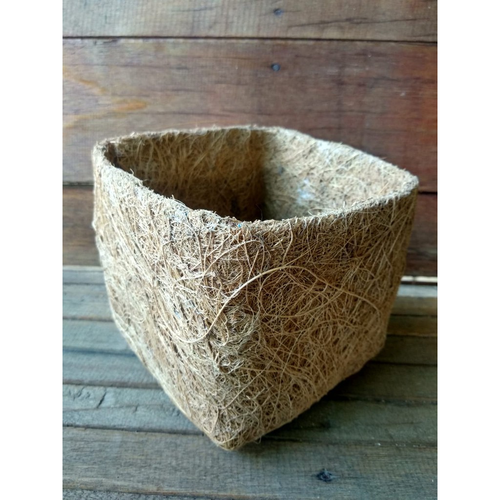 TERBAIK Pot gantung sabut kelapa untuk anggrek bulan, dendrobium