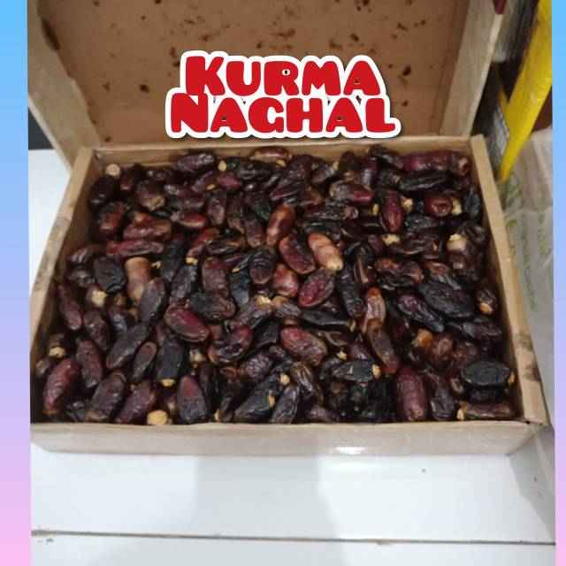 

Kurma naghal