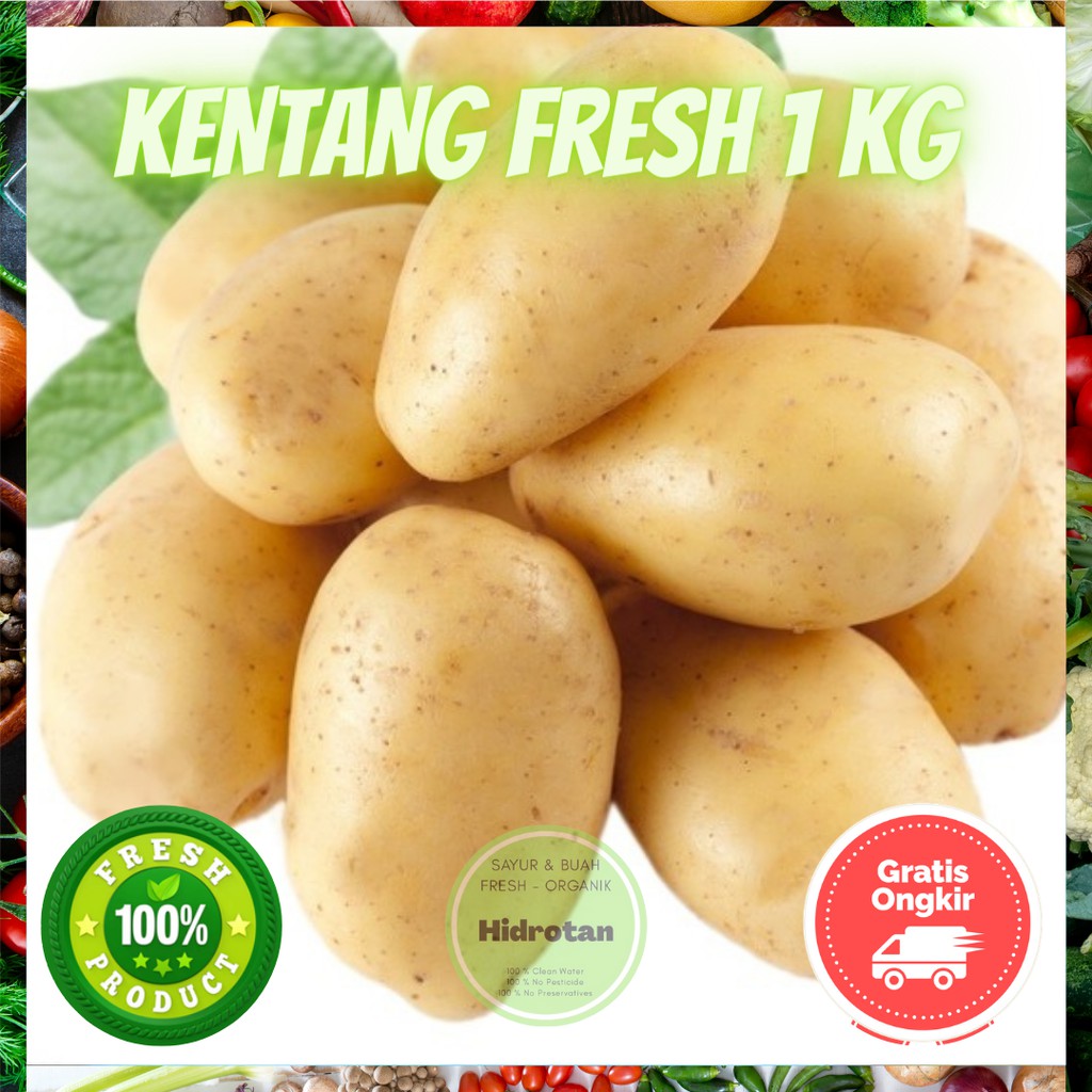 

Kentang Besar Dieng 1 kg Sayuran Segar Murah | Paket Makanan | Sayur Combo Fresh - Free Emas