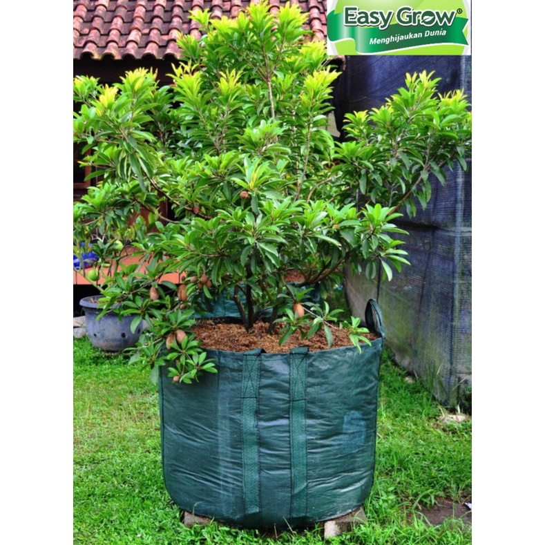 Planter bag 400 Liter EASY GROW planterbag 400liter easygrow kantong Pot polybag semai benih bibit Tanaman bunga sayuran buah planter bag