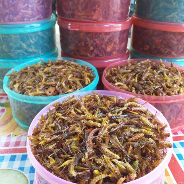 

Bagor (Belalang Goreng)