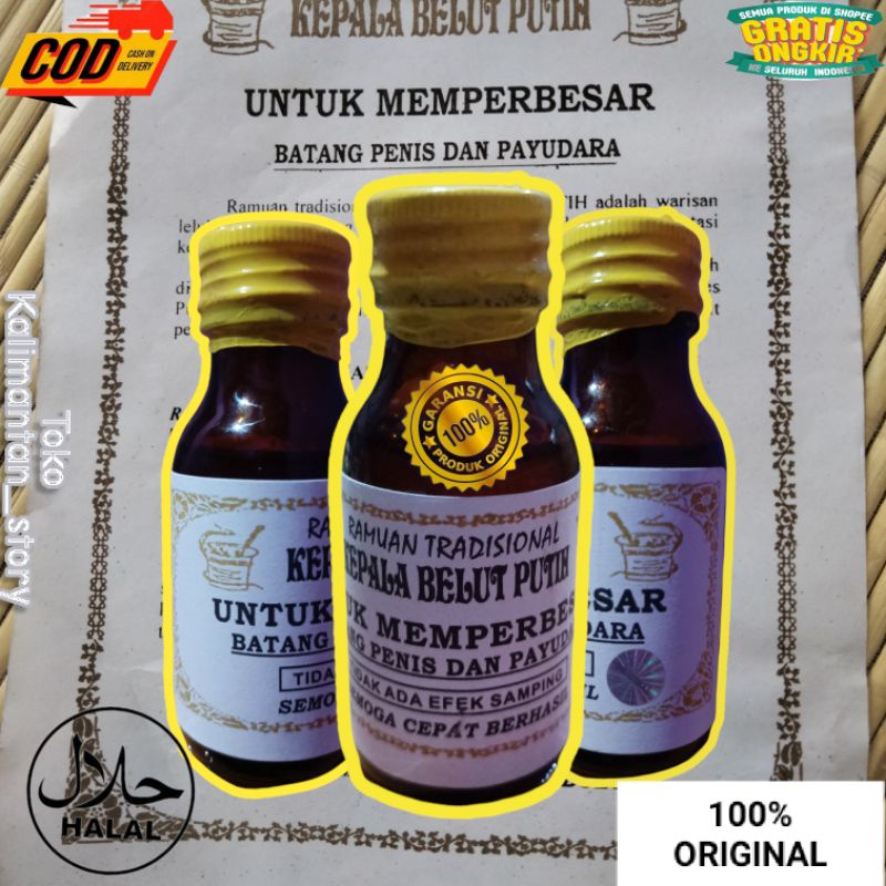 kalimantanstory ramuan tradisional kepala belut putih berkhasiat untuk memperbesar payudara mengenca