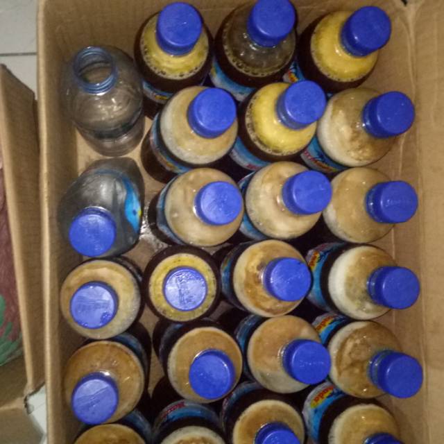 

Madu Sumbawa Asli