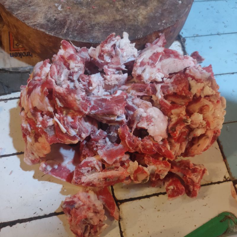 

Tulang punggung kambing
