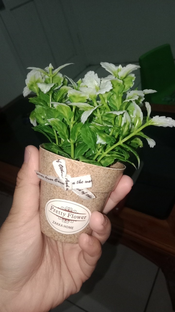 Vb16 Vas Bunga Pita Mini Tanaman Artifisial Daun Hias Warna Flower Pot Imut Dekorasi Meja