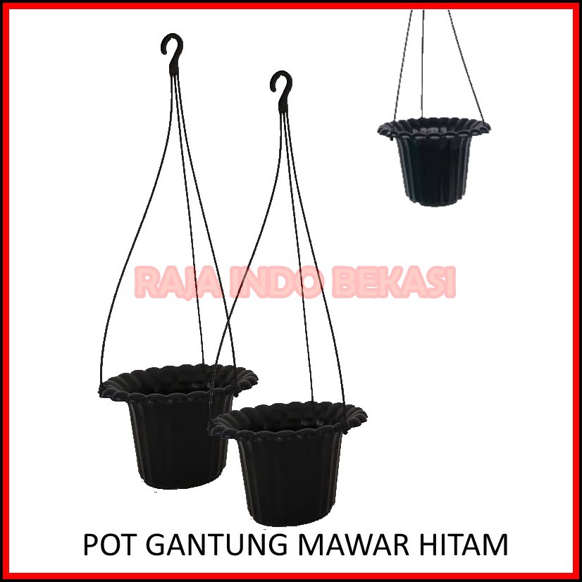 Pot Gantung Mawar Hitam - Pot Plastik Bunga Gantung Hitam Cantik  Pot Gantung Hias Bunga Lili Paris