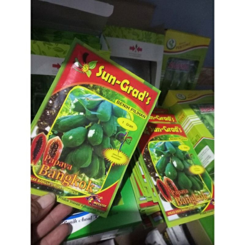 

benih buah pepaya bangkok sun gratis isi 1 gram