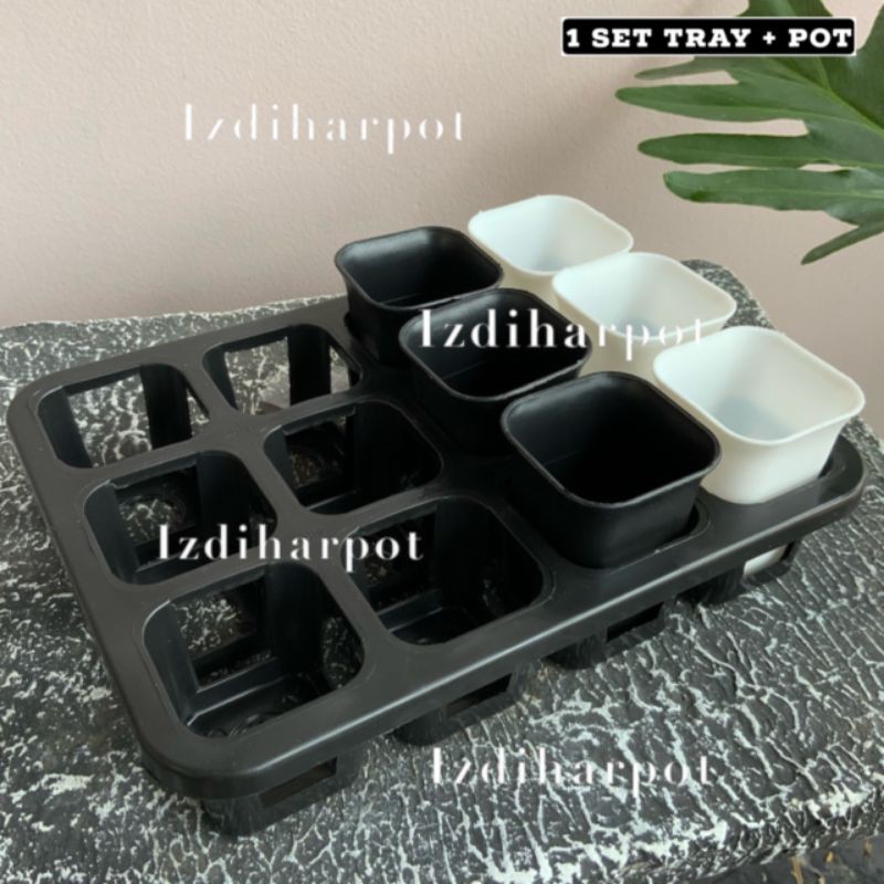 1 set Tray + pot bunga tanaman nkt kotak 5cm | tray semai bibit