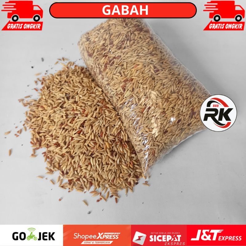GABAH BERAS MERAH KEMASAN 500GR - 1KG PAKAN AYAM BURUNG MERPATI PUTER MAKANAN BIJI GABAH PAKAN