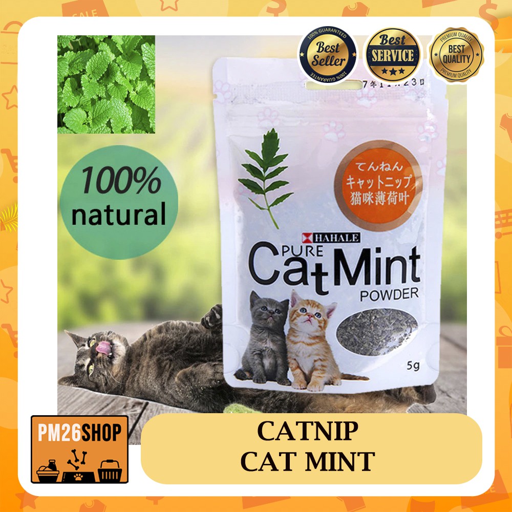 Catnip untuk Kucing Cat Mint