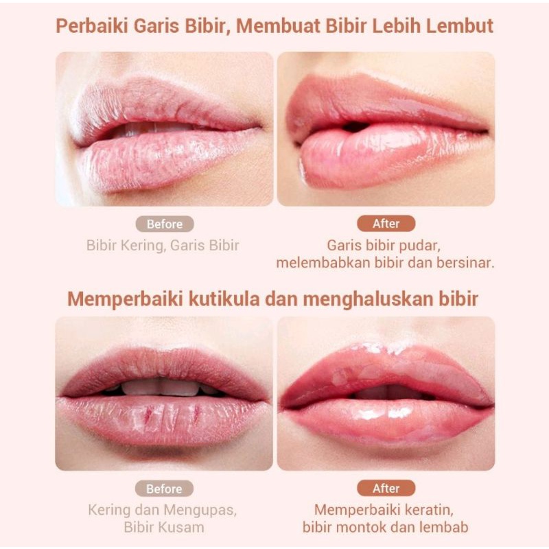 [BPOM] Lanbena Lip Mask | Sugar | Rose | Aloe Vera | Coconut