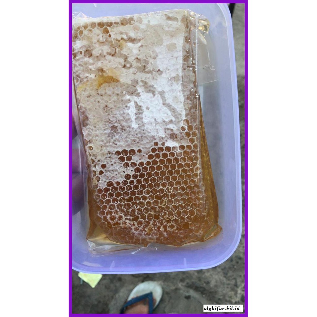 

MADU-MINUMAN- MADU SARANG MALIFERA, RAW HONEY,HONEY COMB.500 GR -ASLI-BUKAN-KAWE-KAWE-