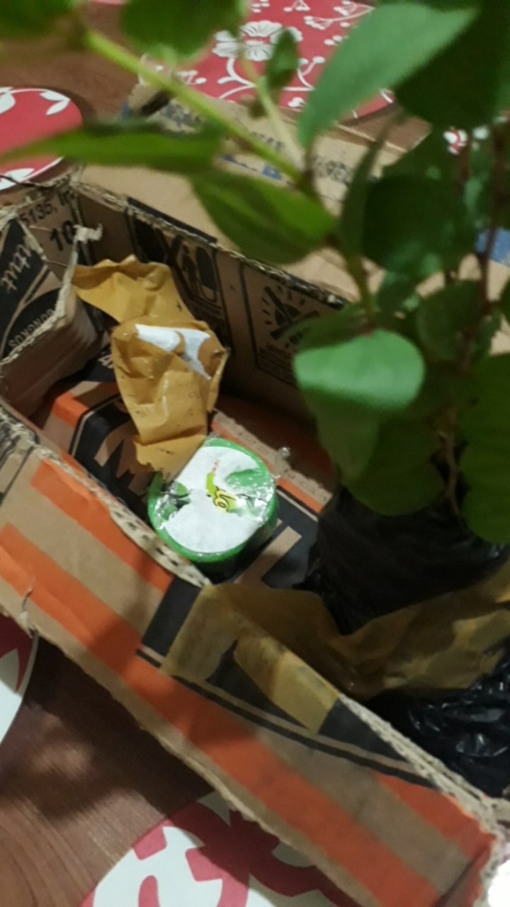 Sabun Bidara. Sabun Ruqiah