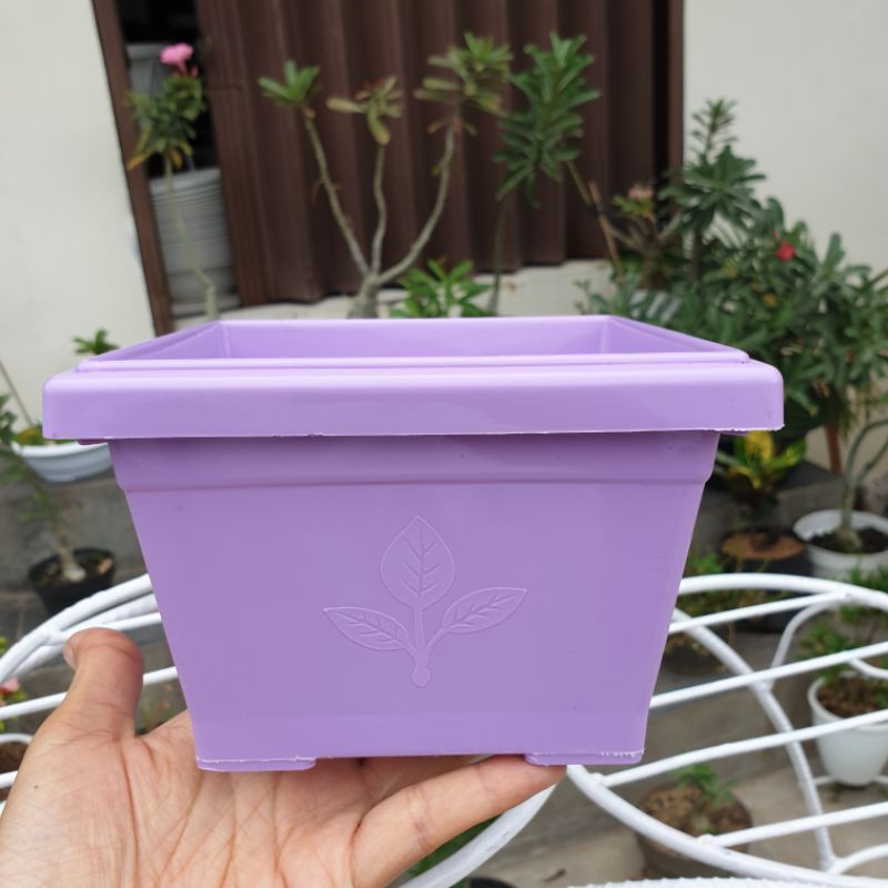 SEGI HIAS 20SP (14X14cm) pot bunga kotak segi hias persegi