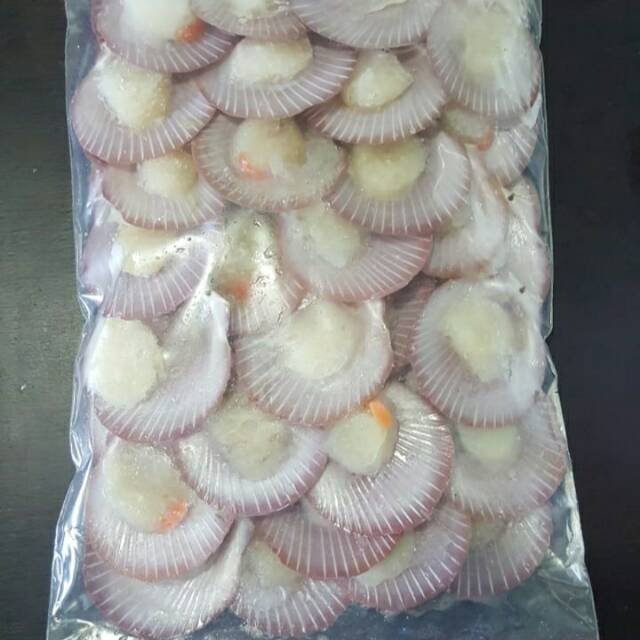 

Kerang Simping 500gr