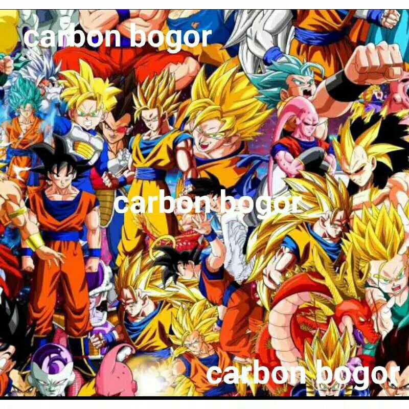 carbon celup wtp Dragon balls