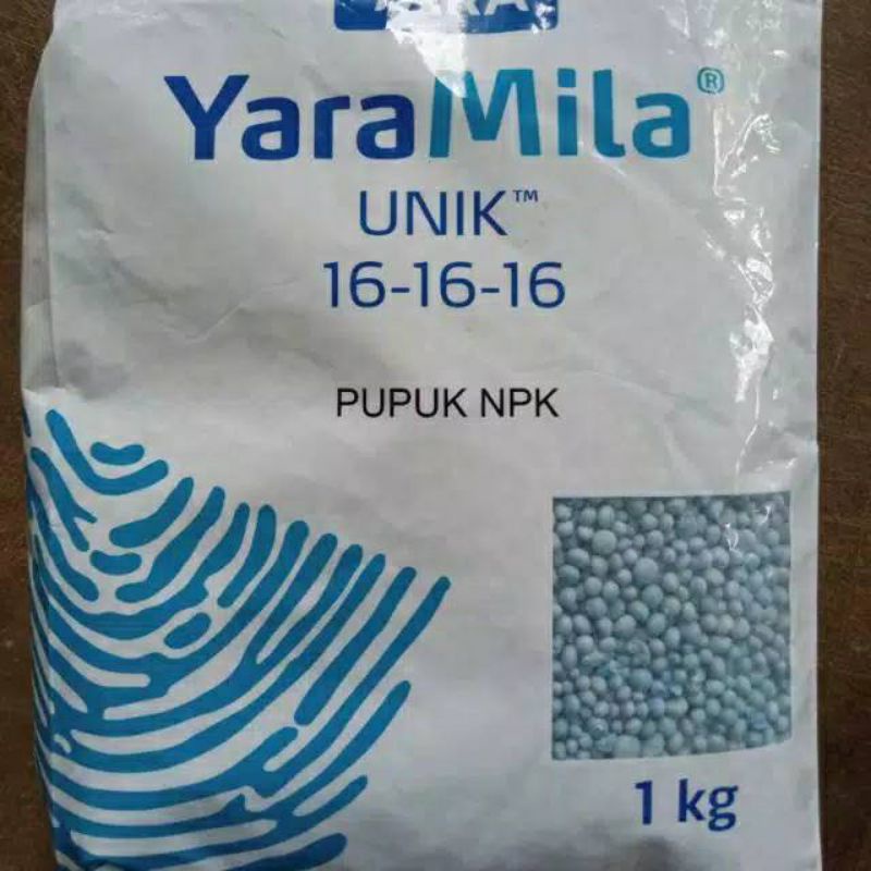 tanaman hias NPK mutiara - NPK 16 16 16 pupuk NPK yaramila