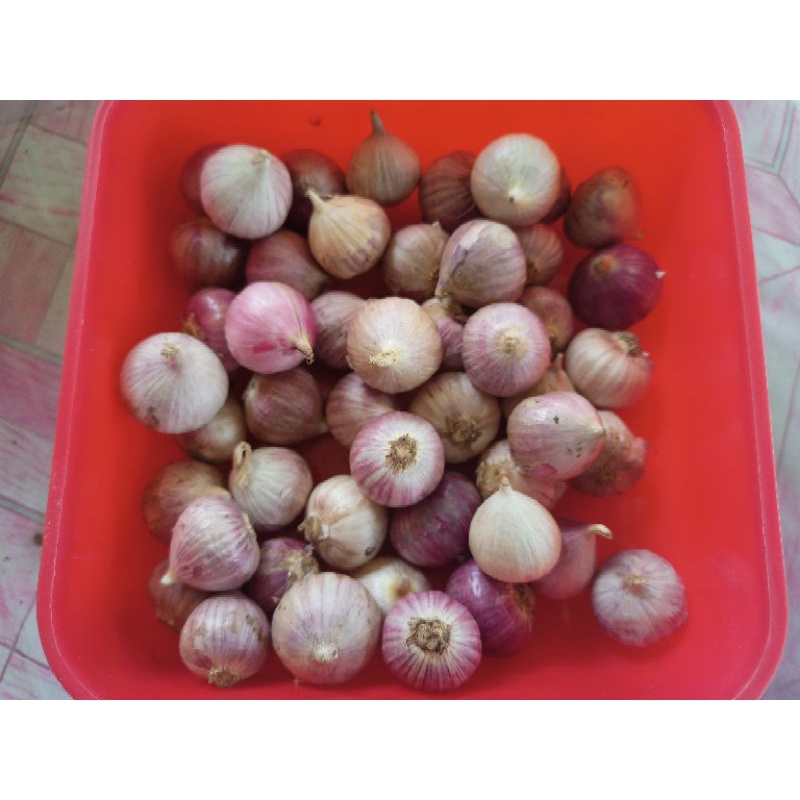 

bawang putih tunggal/ lanang 500 gram ukuran kecil