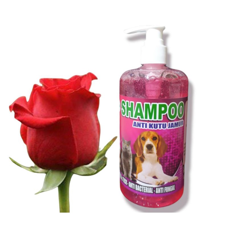 shampo kucing anjing 500ml pump anti kutu jamur dan bakteri