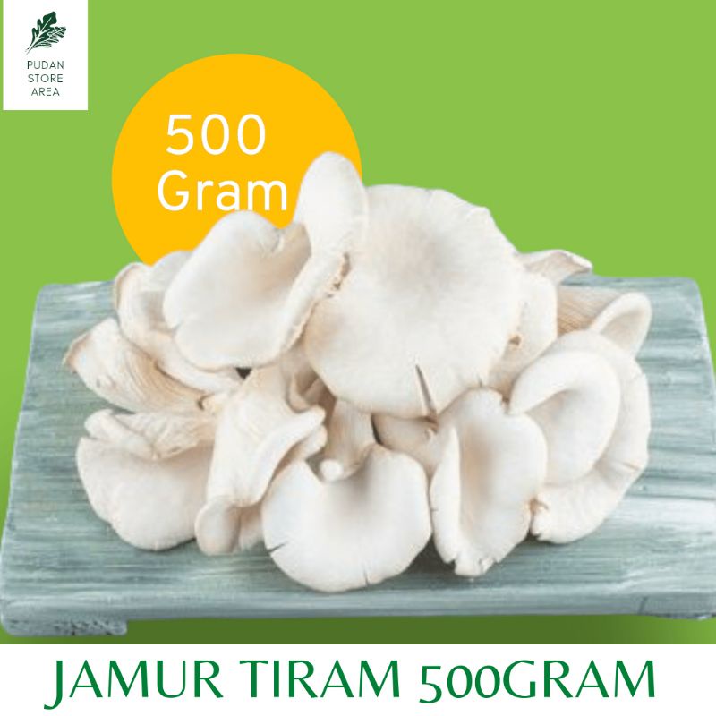 

JAMUR TIRAM FRESH 500GR