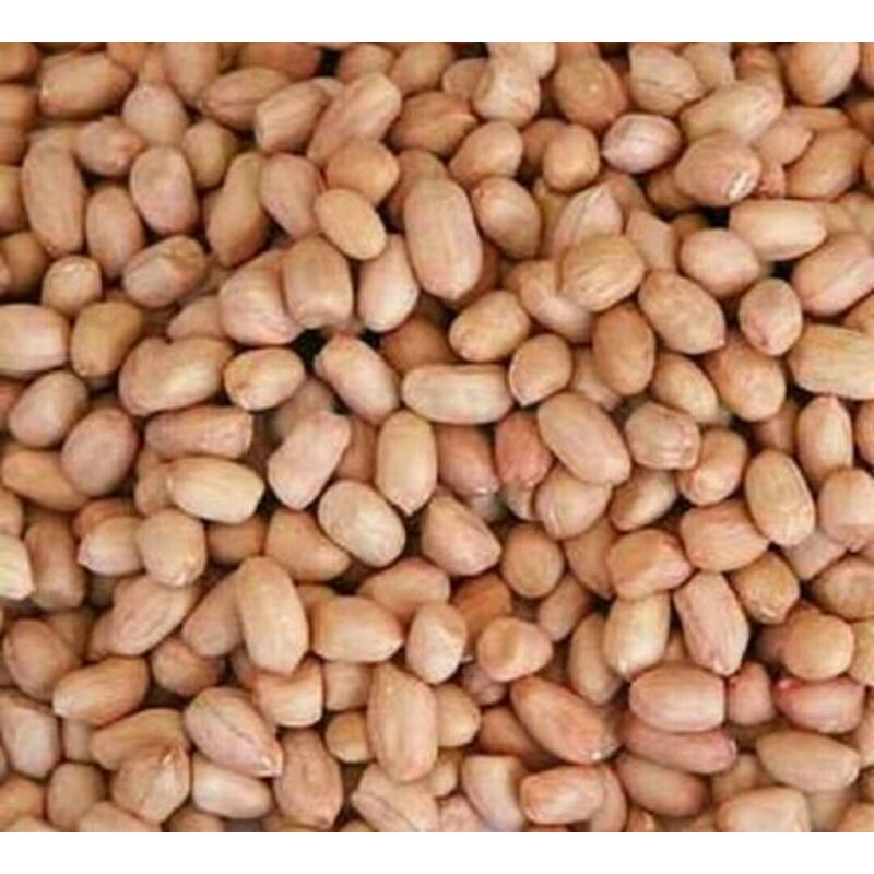 

kacang tanah 500 gram