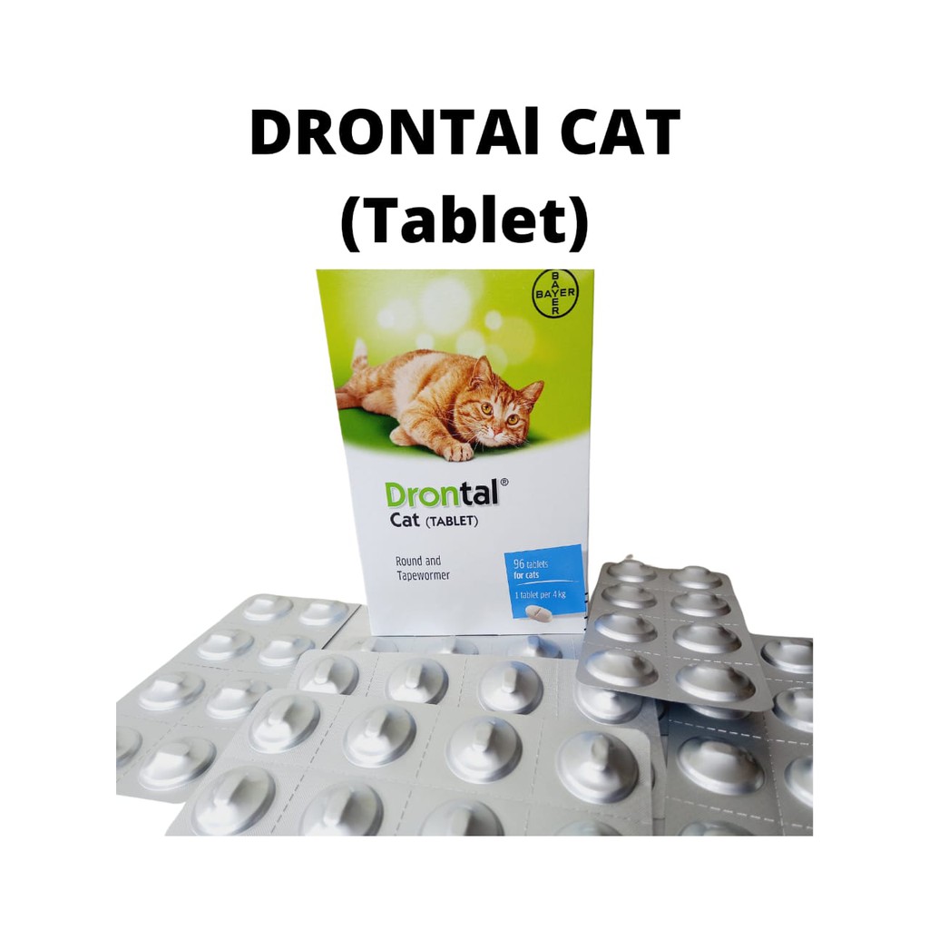 Drontal Cat Obat Cacing harga 1 tablet