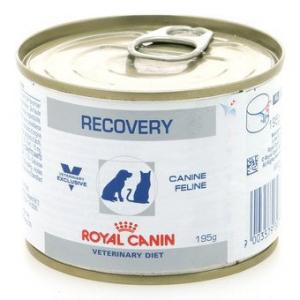 Royal Canin Recovery 195gr 195 gr gram Makanan Basah Kucing Anjing RC