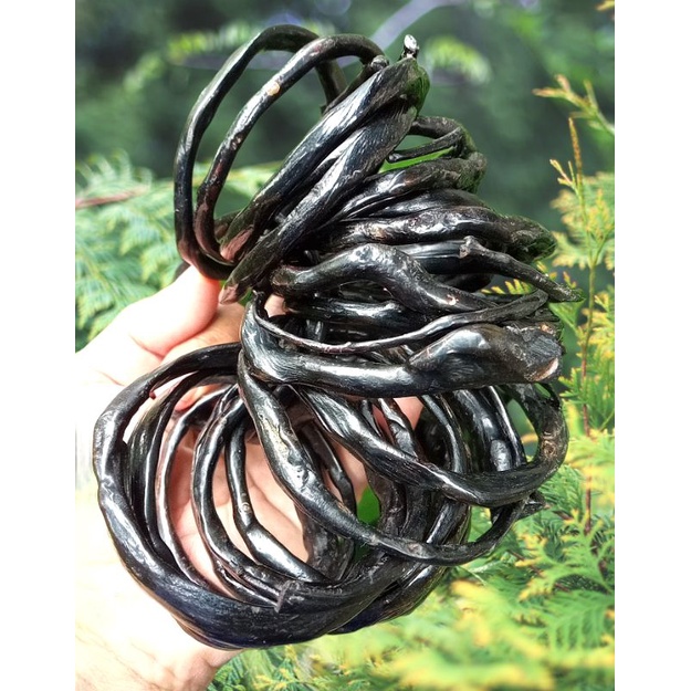 Gelang akar bahar hitam kecil