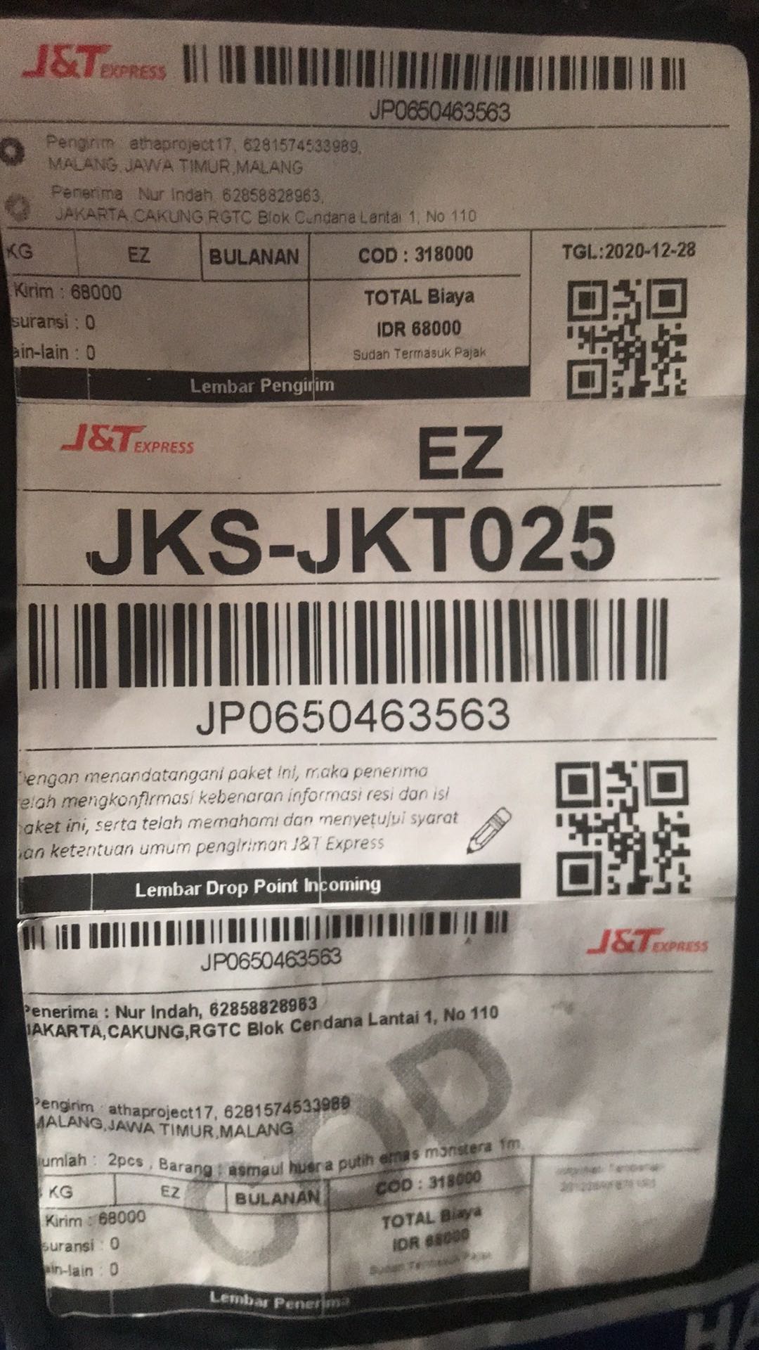 Asmaul Husna Putih Emas Monstera 1m