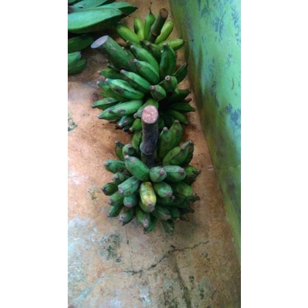 

pisang siem 1kg