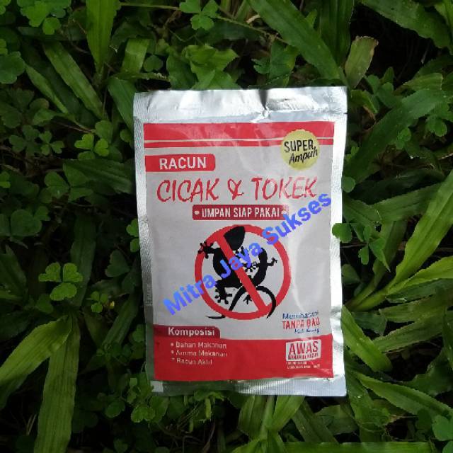 Racun Cicak dan Tokek