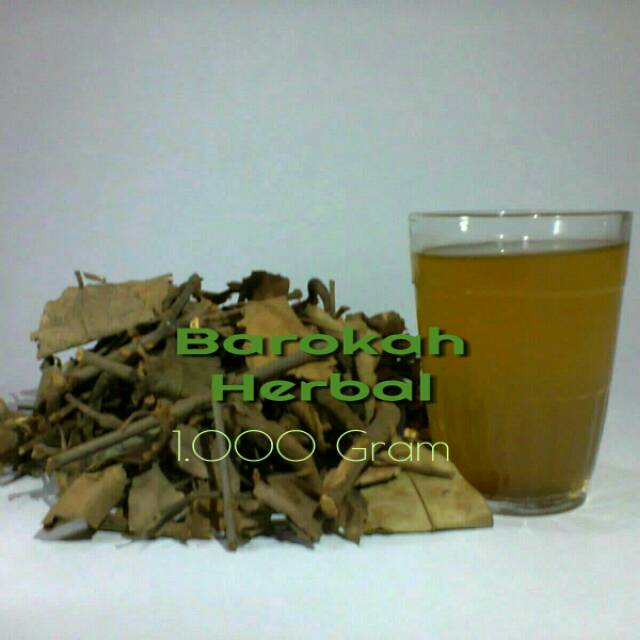 

Benalu Teh Asli Parakan Salak/Obat Kanker/Herbal