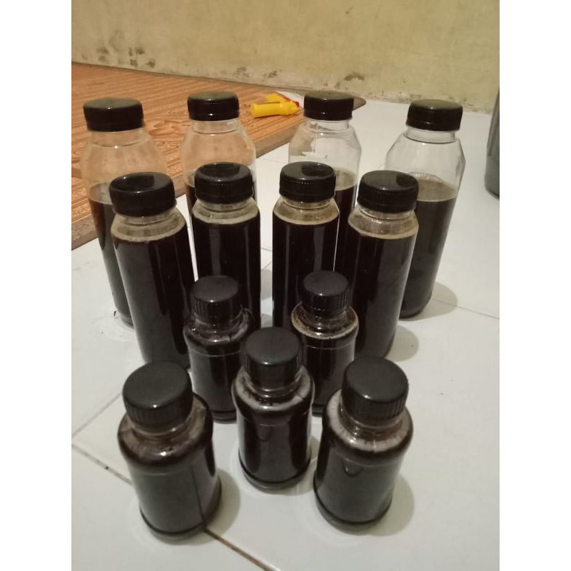 

madu hutan murni RIAU