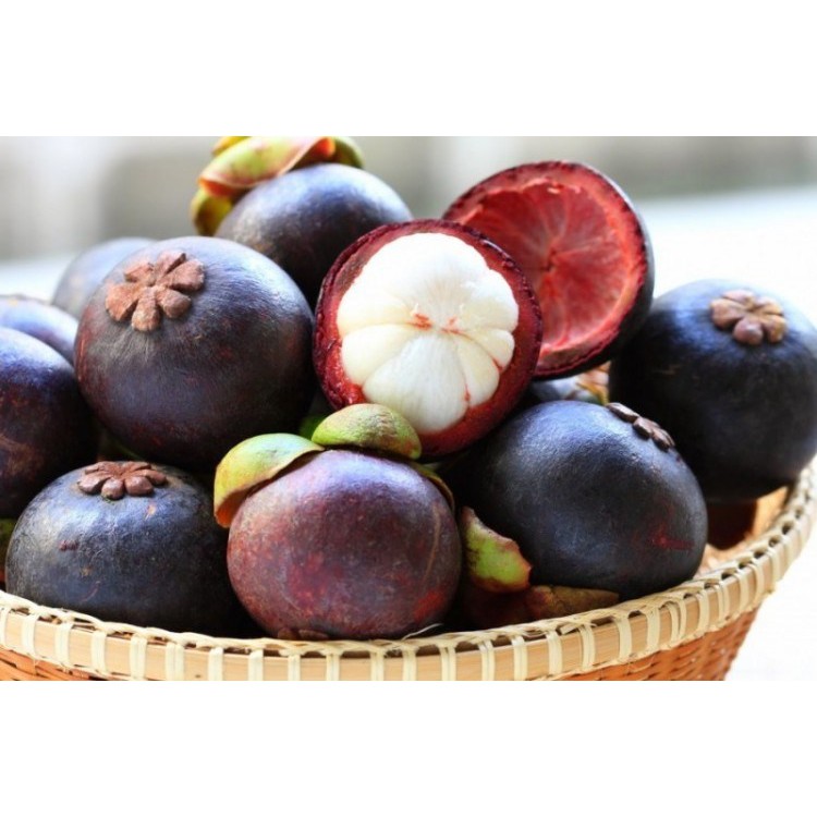 

Kulit Buah Manggis Kering 1kg