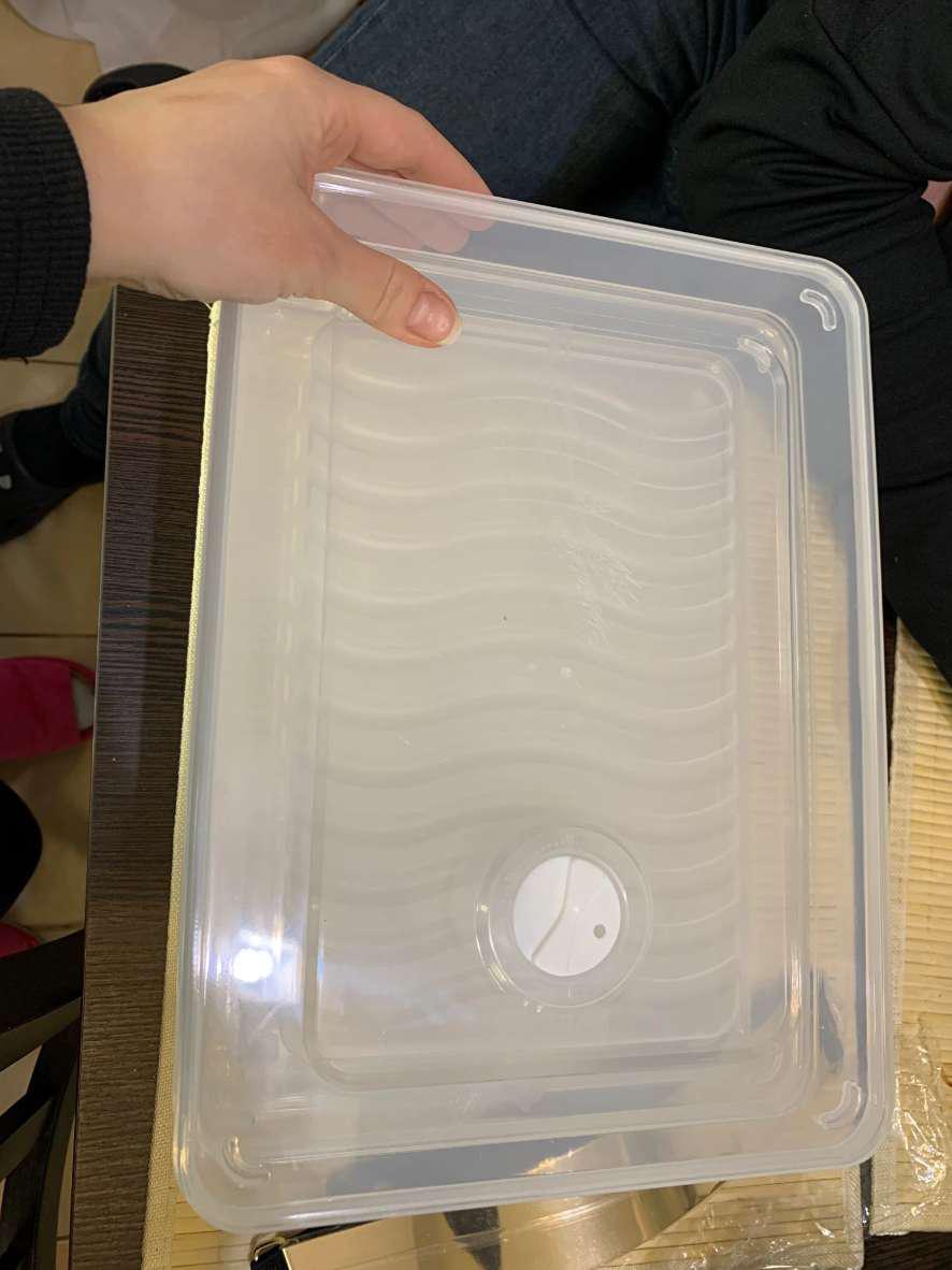 Food Container Tempat Wadah Gorengan Ada Tutup Kotak Penyimpanan Makanan Plastik Kontainer Kulkas