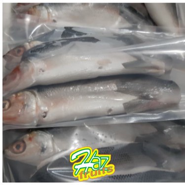 

BANDENG CABUT DURI +/- 1 kilo isi 3-4