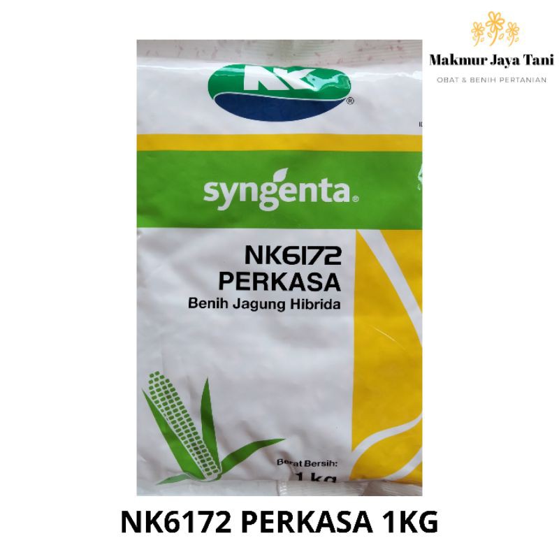 Benih Jagung Syngenta NK6172 PERKASA