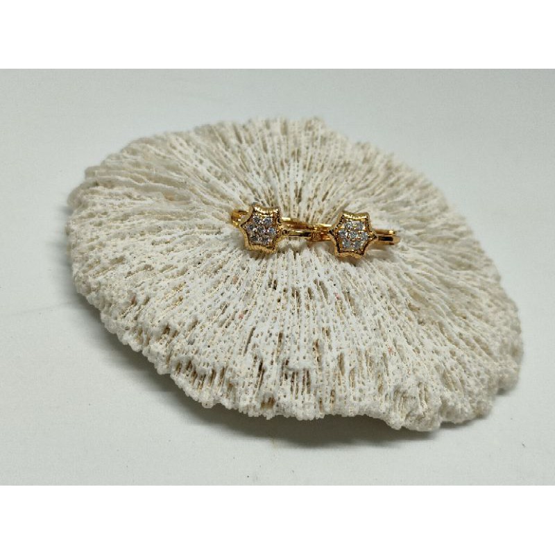 Anting Anak titanium