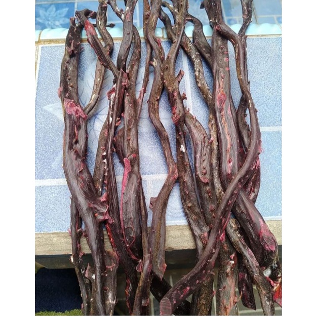 bahan akar bahar merah