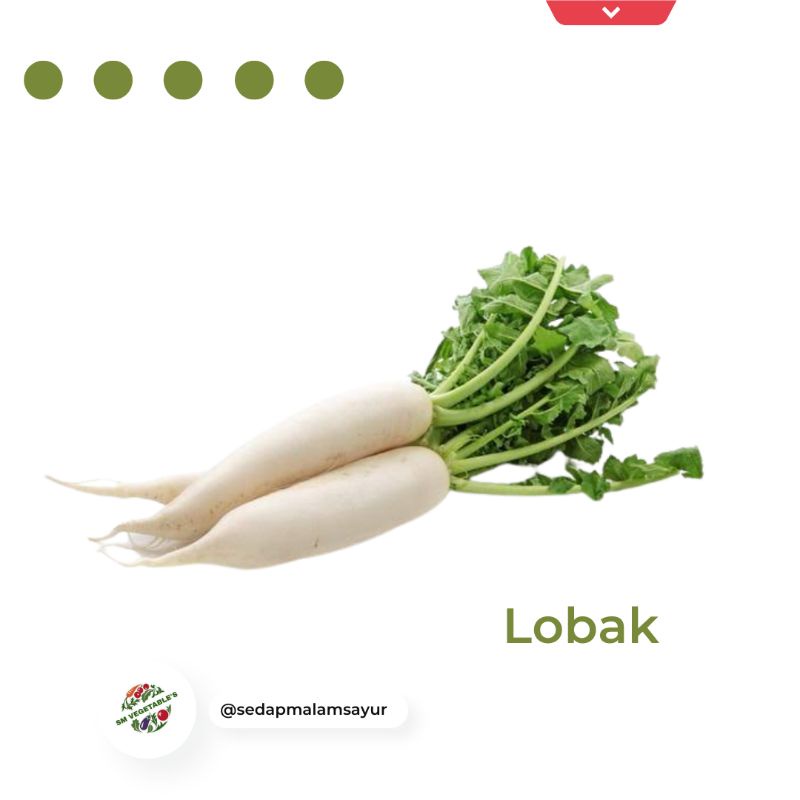 

LOBAK500gr/Lobakputih/SAYURSEGAR