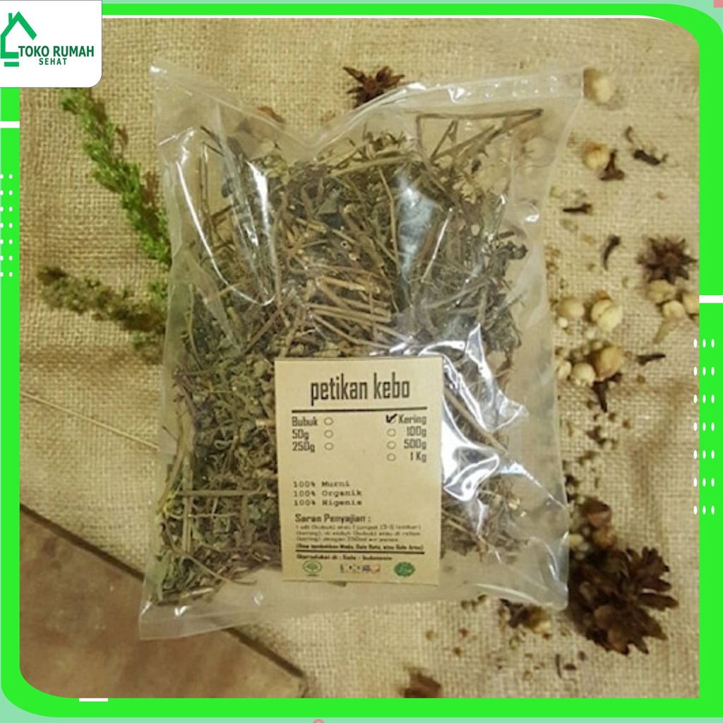 

PETIKAN KEBO KERING 250 GRAM - Euphorbia Hirta - MURNI