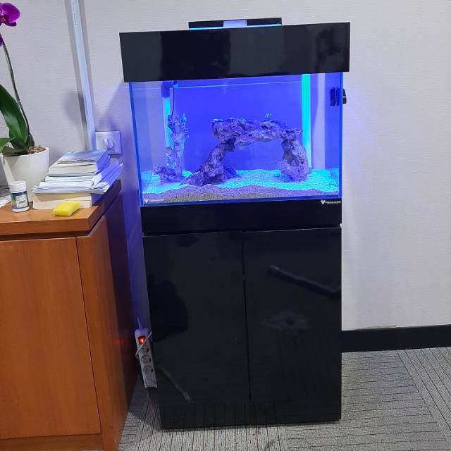 Paket Aquarium Laut 60cm + Cabinet + sum