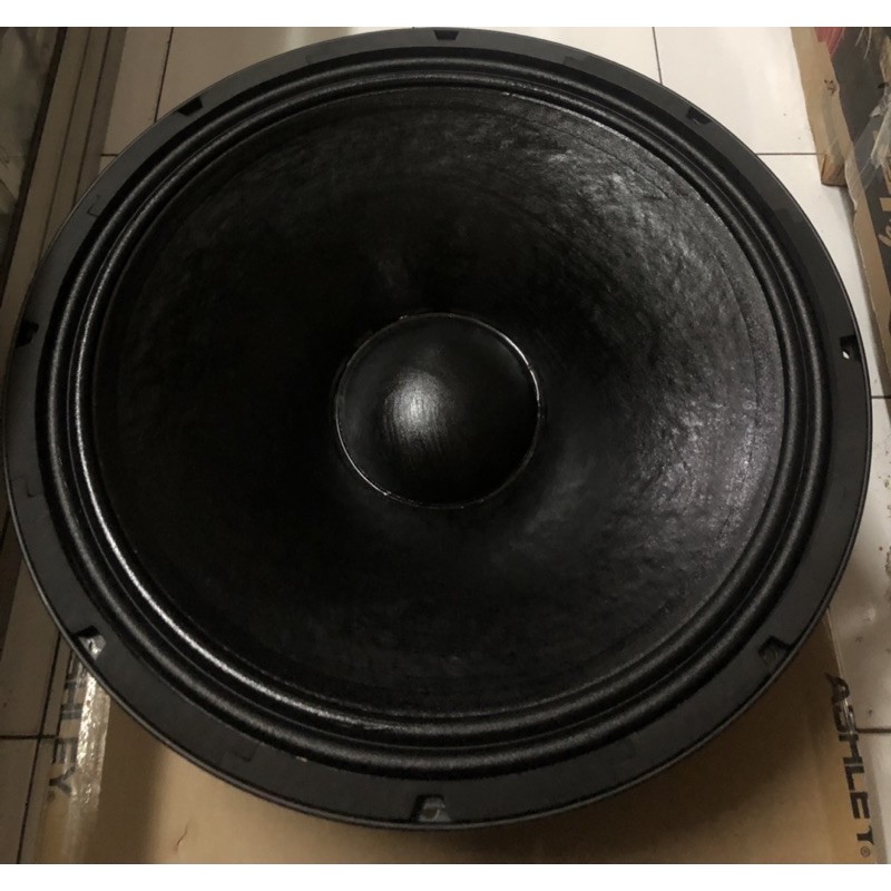 Speaker 18&quot; Ashley 18L900