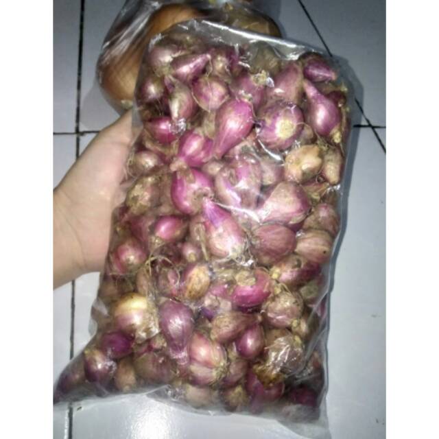 

1KG Bawang putih kating/bombay/merah