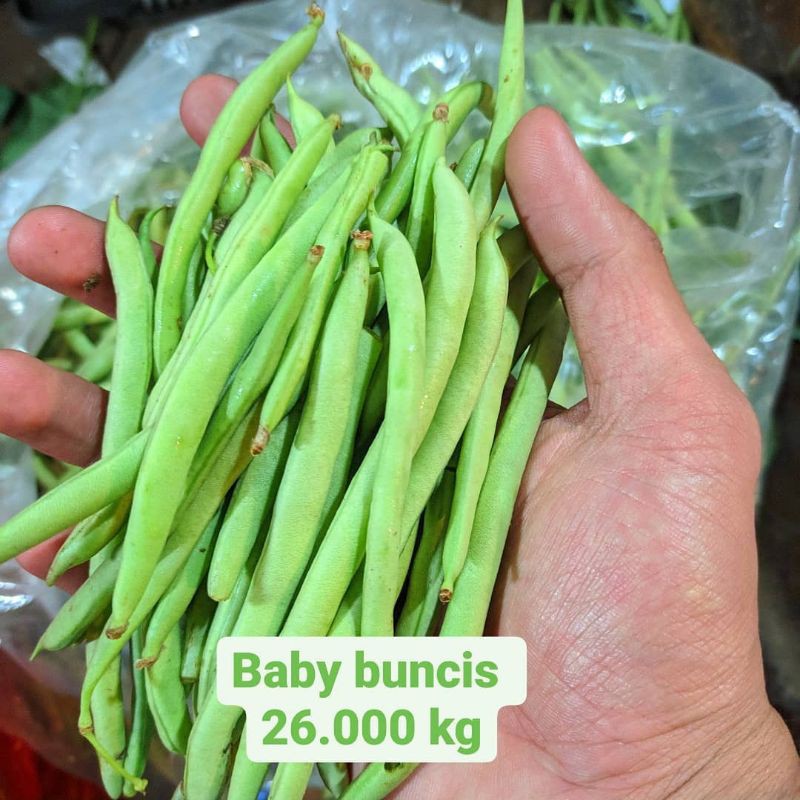 

buncis baby / baby kenya