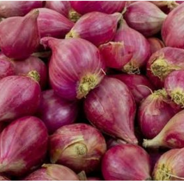 Bawang Merah Organik 300g / Red Onion / Shallot 300g