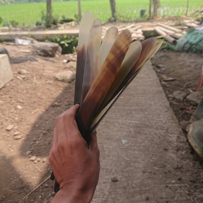 PROMO pisau untuk kelapa dari tanduk sapi